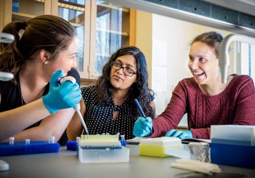 Neuroscience faculty with student in the lab